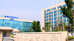 赏金国际浪花志愿者开展系列社会志愿服务活动