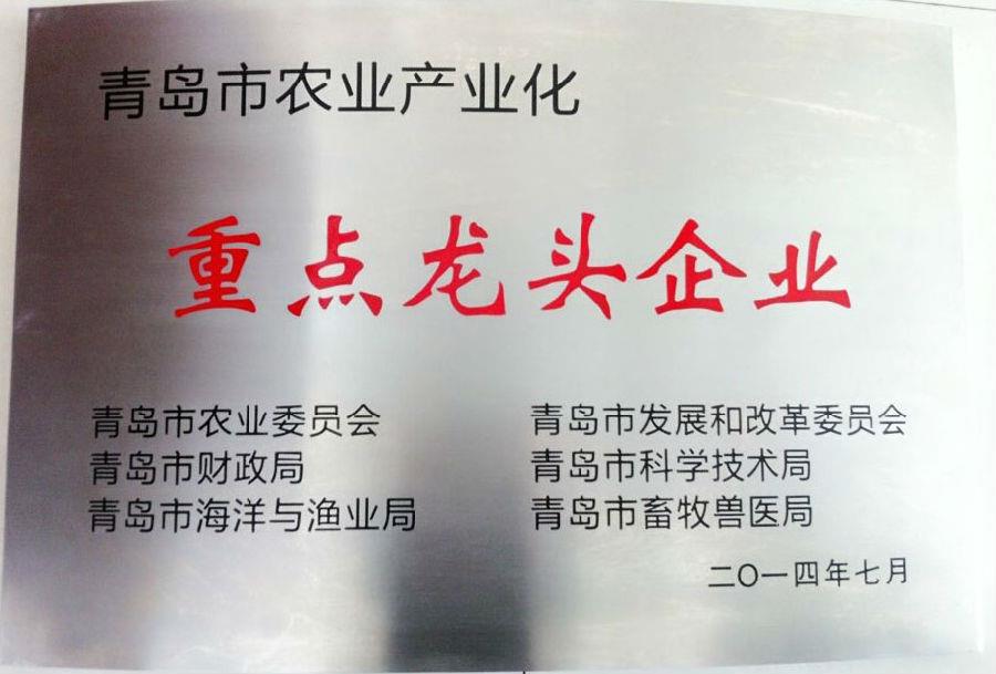 赏金国际药业集团荣获 “青岛市农业产业化重点龙头企业”荣誉称号