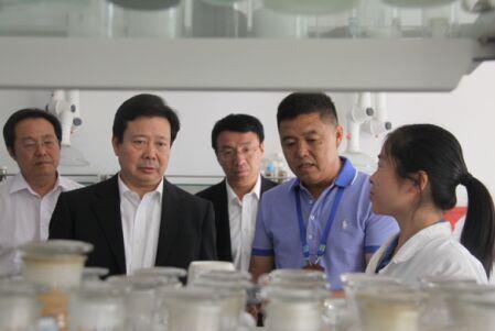 加大创新力度 运用互联网开拓市场 提升企业核心竞争力 ——山东省委常委、青岛市委书记李群莅临赏金国际考察