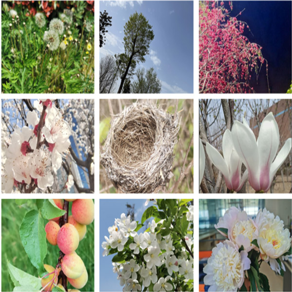 滕润翔“向上的力量，怒放的生命”主题活动落地  