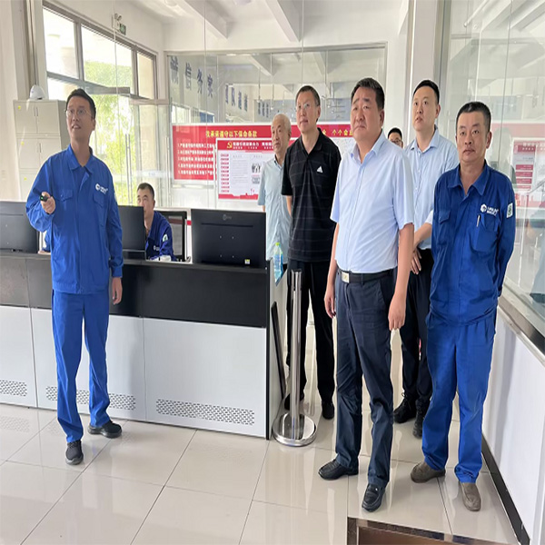 开发区管委会副主任冯涛一行到山东赏金国际调研指导